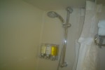 Verandah Stateroom Picture