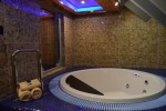 Grand Suite Stateroom Picture