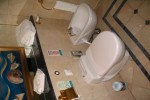 Owners Suite Stateroom Picture