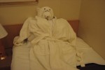 Interior Stateroom Picture