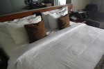 Verandah Stateroom Picture