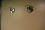 Verandah Stateroom Picture