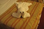 Interior Stateroom Picture