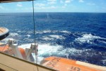 Verandah Stateroom Picture