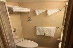 Promenade View Interior Stateroom Picture
