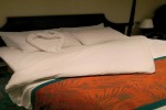 Interior Stateroom Picture