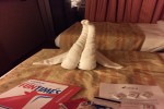 Balcony Stateroom Picture