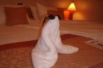 Interior Stateroom Picture
