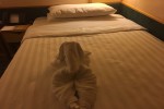 Interior Stateroom Picture