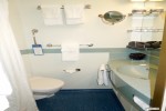 Cove Balcony Stateroom Picture