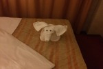 Balcony Stateroom Picture