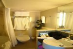 Oceanview Stateroom Picture