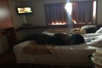 Oceanview Stateroom Picture