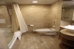 Sky Suite Stateroom Picture