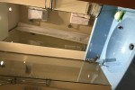 Deluxe Oceanview Stateroom Picture