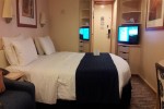 Promenade View Interior Stateroom Picture