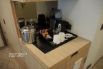 Single Oceanview Stateroom Picture
