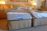 Window Suite Stateroom Picture