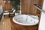 Pinnacle Suite Stateroom Picture