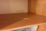 Junior Suite Stateroom Picture