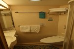 Promenade View Interior Stateroom Picture