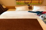 Cove Balcony Stateroom Picture