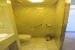 Mini-Suite Stateroom Picture