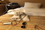 Interior Stateroom Picture