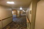 Oceanview Stateroom Picture