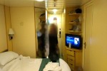 Promenade View Interior Stateroom Picture
