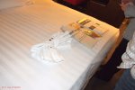 Signature Suite Stateroom Picture