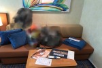 Deluxe Oceanview Stateroom Picture