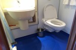 Oceanview Stateroom Picture
