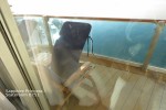 Suite Stateroom Picture
