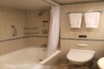 Superior Deluxe Balcony Stateroom Picture