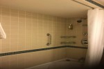 Superior Deluxe Balcony Stateroom Picture