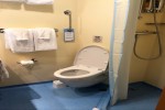 Deluxe Oceanview Stateroom Picture