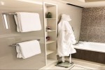 The Haven Penthouse Stateroom Picture