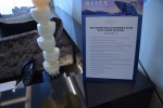 The Haven Deluxe Owners Suite Stateroom Picture