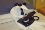Junior Suite Stateroom Picture