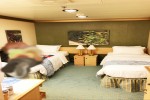 Interior Stateroom Picture