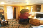 Oceanview Stateroom Picture