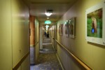 Oceanview Stateroom Picture