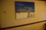 Oceanview Stateroom Picture