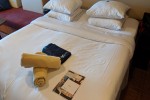 Oceanview Stateroom Picture