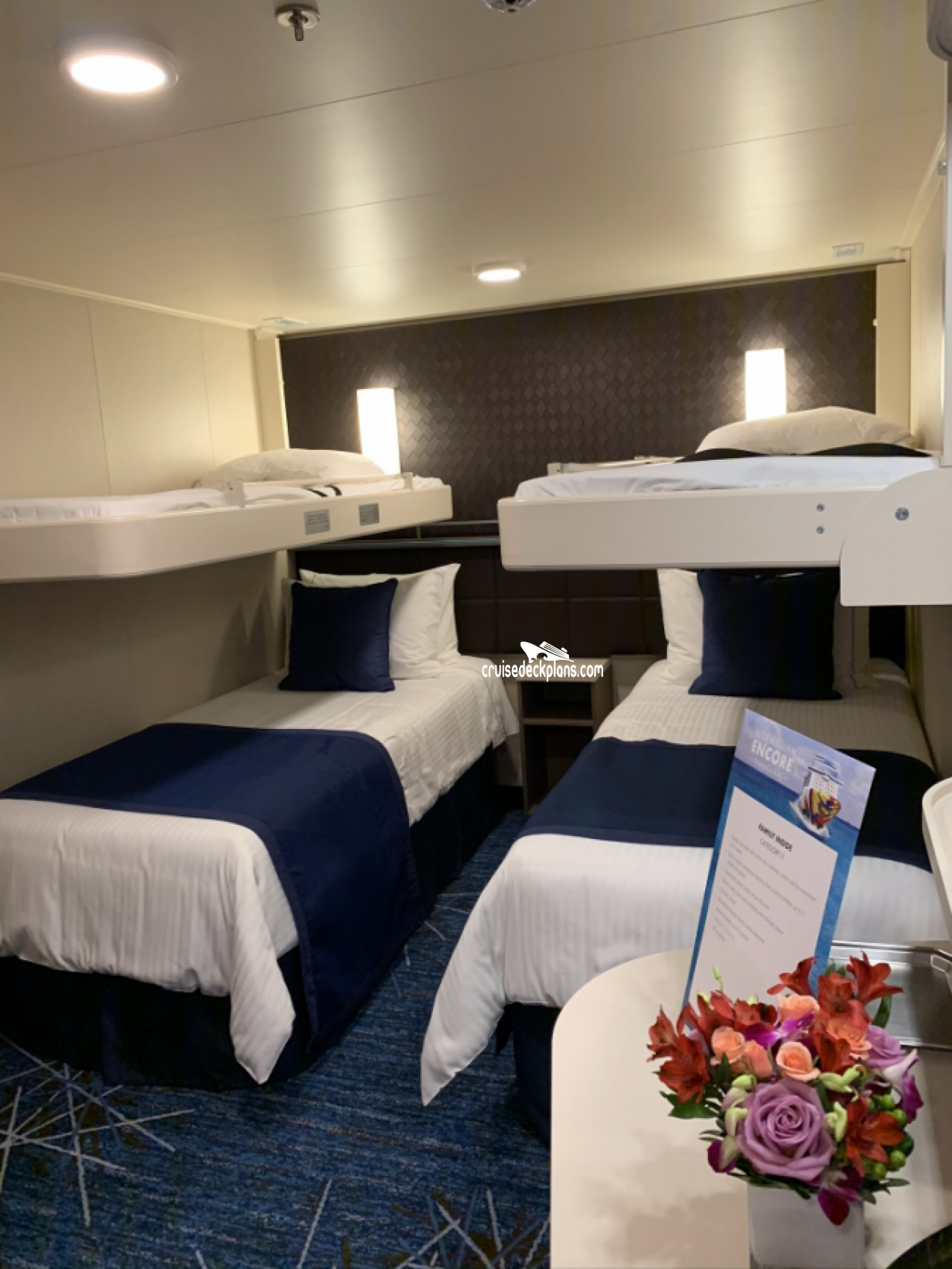 norwegian cruise line encore stateroom