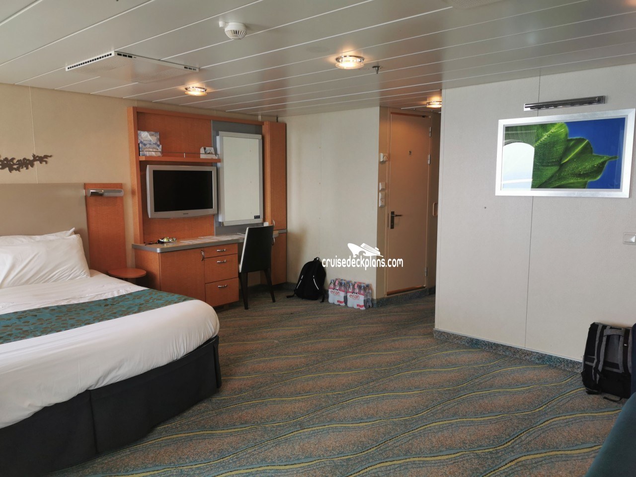 Oasis Of The Seas Ultra Spacious Oceanview Stateroom