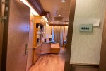 Vista Suite Stateroom Picture