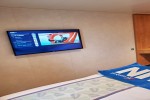 Deluxe Oceanview Stateroom Picture