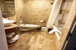 Sky Suite Stateroom Picture